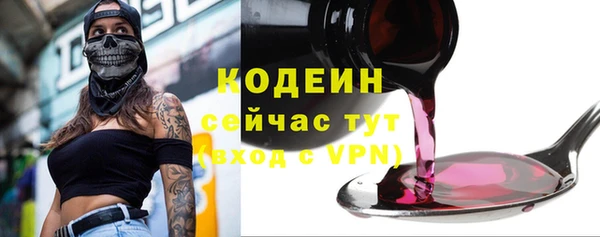 прущие грибы Горняк