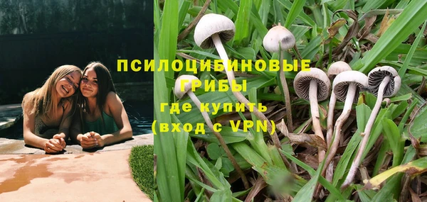 ешки Горно-Алтайск