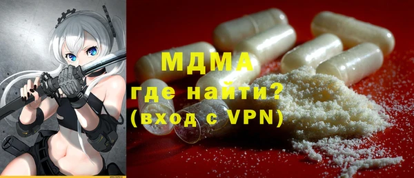 прущие грибы Горняк