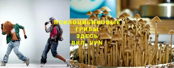 прущие крисы Вязники