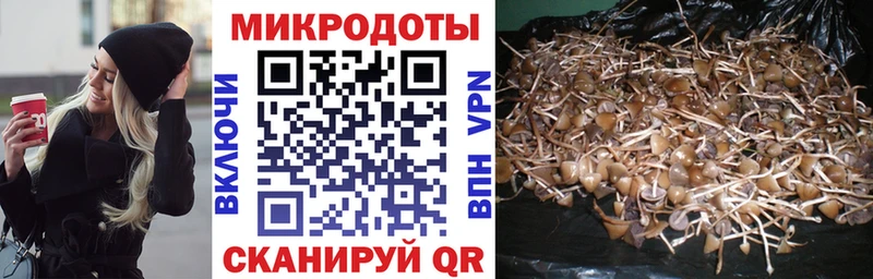 Псилоцибиновые грибы мицелий  Купить где  Кемь 